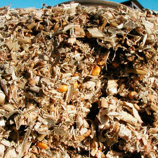 DEHYDRATED-CORN-SILAGE.jpg