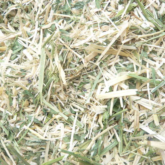 MIXTURE-of-FORAGE-.jpg