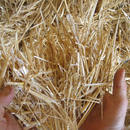 WHEAT-STRAW-.jpg