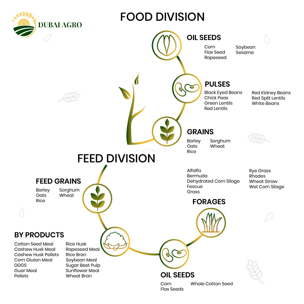 dubai agro